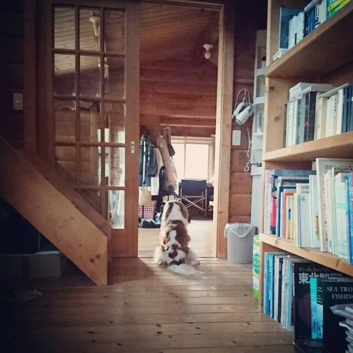 8e2b120a 09f4 4b48 84d1 b185ef3d1171 1534847416912