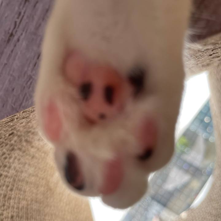 8e2b5b11 e338 4a5a abdd 472821d55047 1672017290145