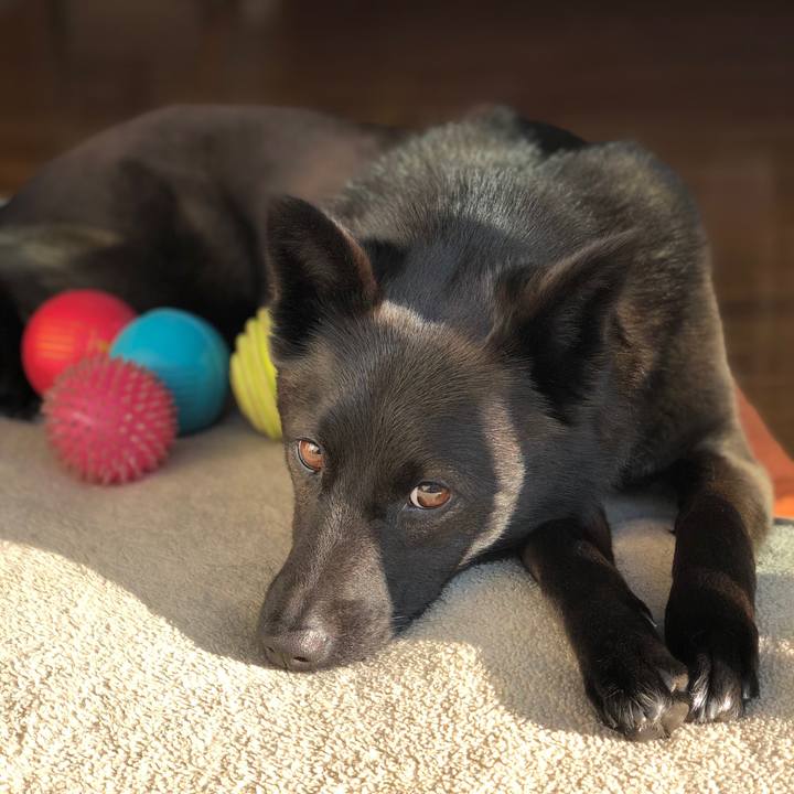 8e2b96dc 4a75 47b0 9415 dddd54632549 1594079125638