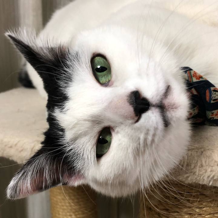 8e2b9bc7 9126 44e3 8aec bcdd6a237deb 1580041293621