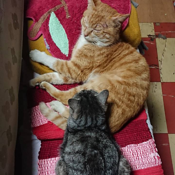 8e2ba972 35a4 4339 b0a7 702a07636722 1551006439590