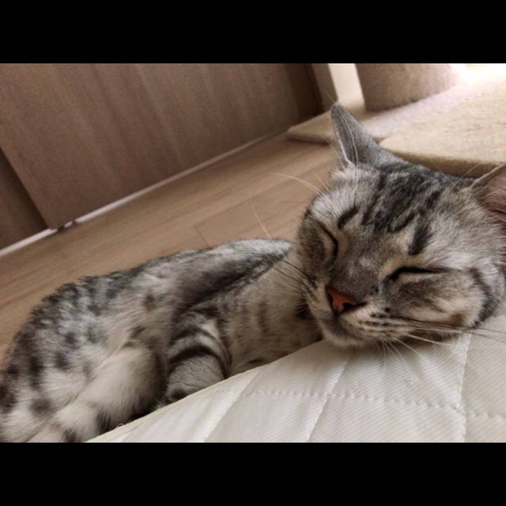 8e2bb522 b1bc 42bc bebb 6096b069dfd0 1534892682725