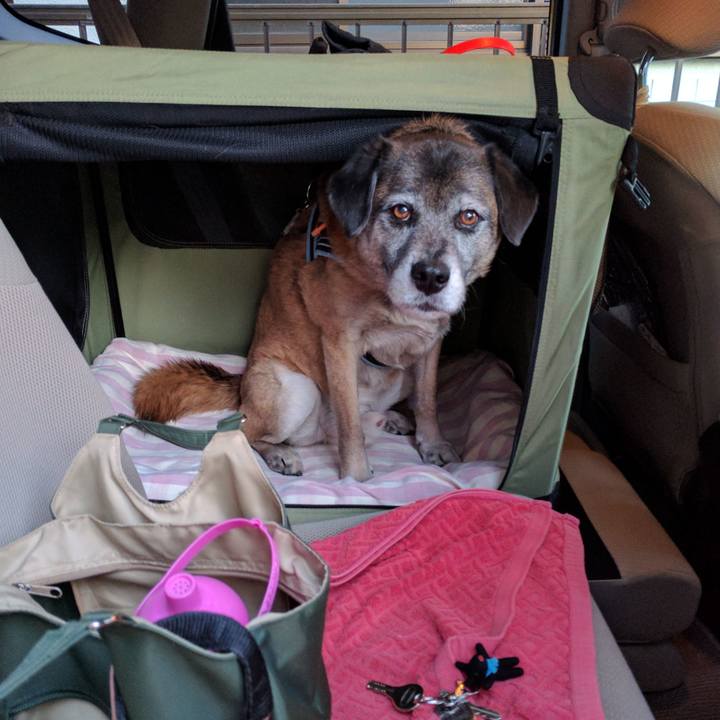 8e2bc0ee a758 4dfe 8a77 e1bca0176b1c 1710466203697