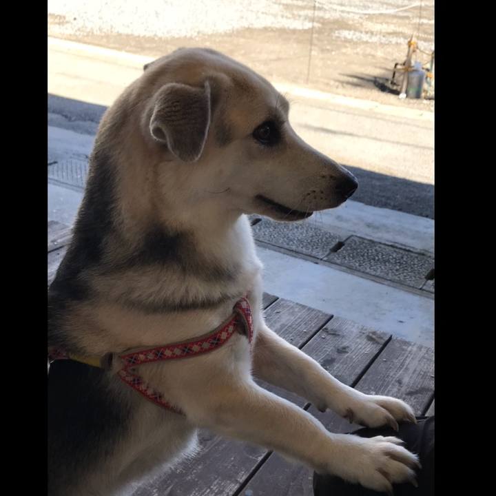 8e2bf028 f310 4fce 9a56 0d45955a0b3d 1541772749145