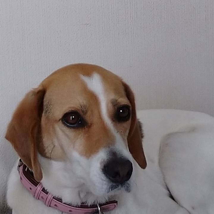 8e2c50c0 9dc7 4660 b869 e5eb328f0315 1591770174342