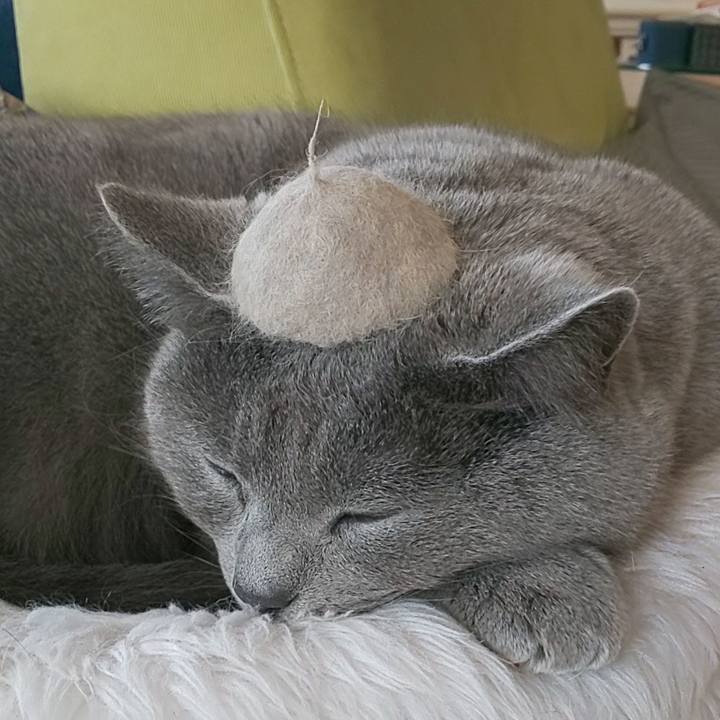 8e2c7c3c a1f4 4abe 92db 207487de29b9 1582693213408