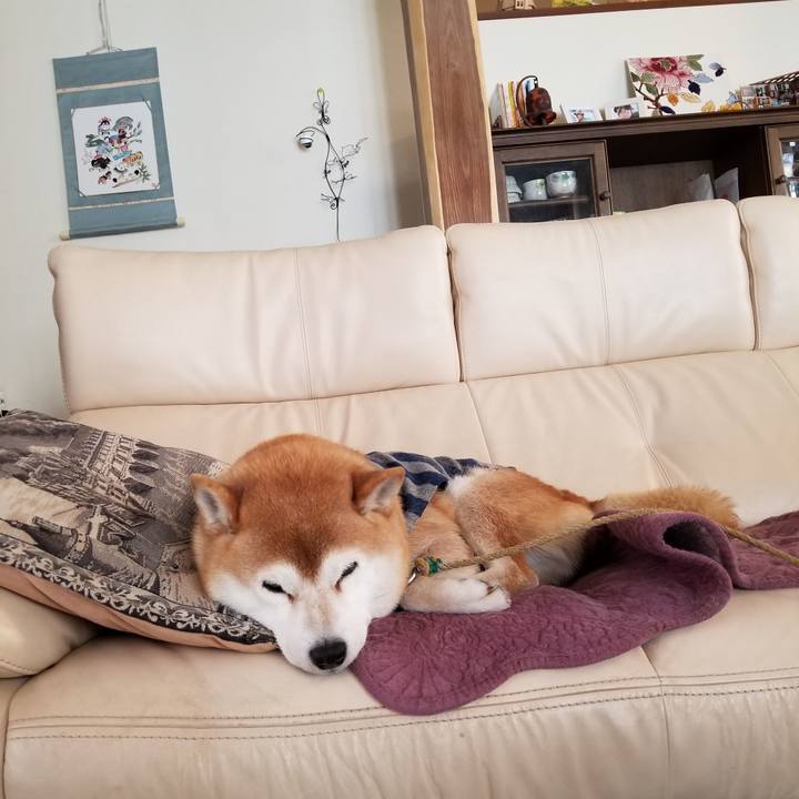 8e2c7f7a 72ee 4cfc 9002 6a3a92b8c13a 1611707567140