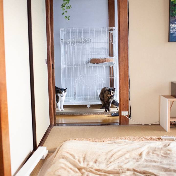 8e2cbb47 c904 4bba a235 e2d341e535b9 1580453872462