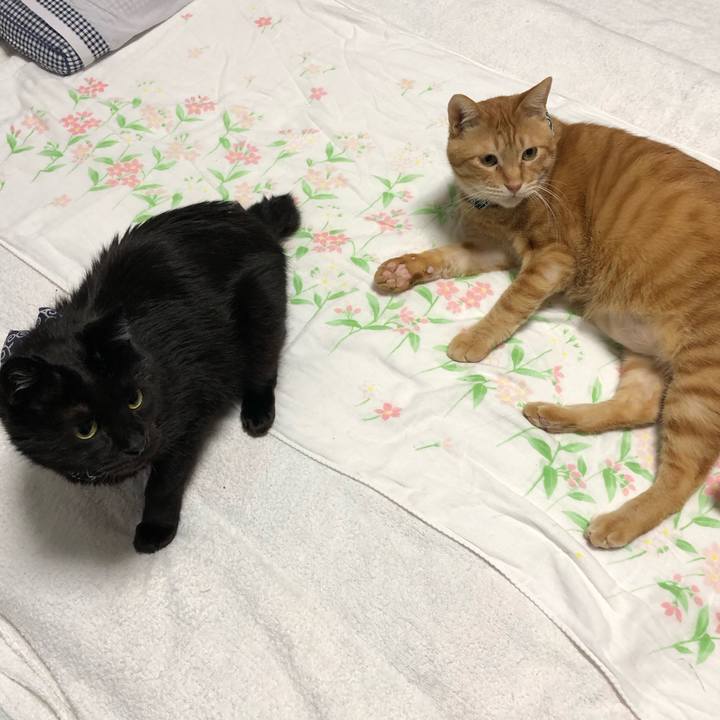 8e2cd882 fd72 4643 9944 ef59f66f41b7 1578563350562