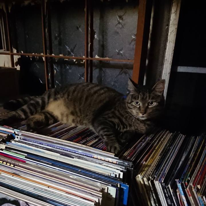 8e2ce98a 168d 416f 84a6 e9b0f6f4761a 1656681179597