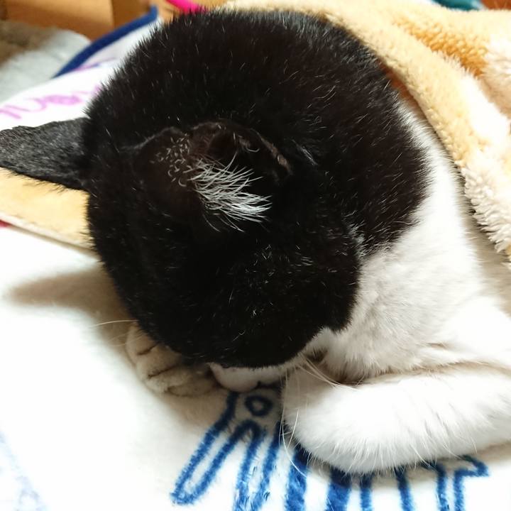 8e2cf5cf c4ec 4016 aeab 7dc1145e061c 1637326319429