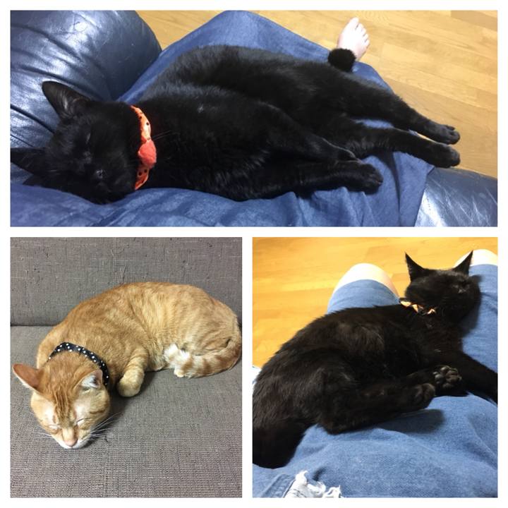 8e2d2e48 34ce 4e03 95a1 8b8c305c873f 1538400625701