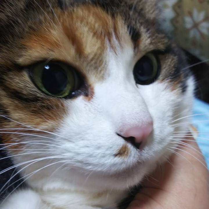 8e2d65b8 bc01 4c51 83c6 7016aec131dc 1583880256358