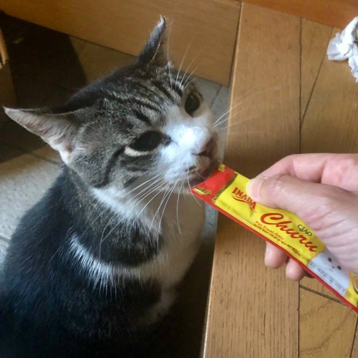 8e2d6663 1e91 46bb 84d5 7fceb3a9741c 1560163305423