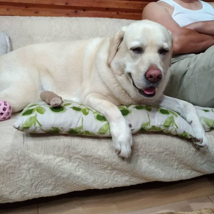 8e2d67ed 4509 49dd 9729 5a91cd6f1cac 1622893218827