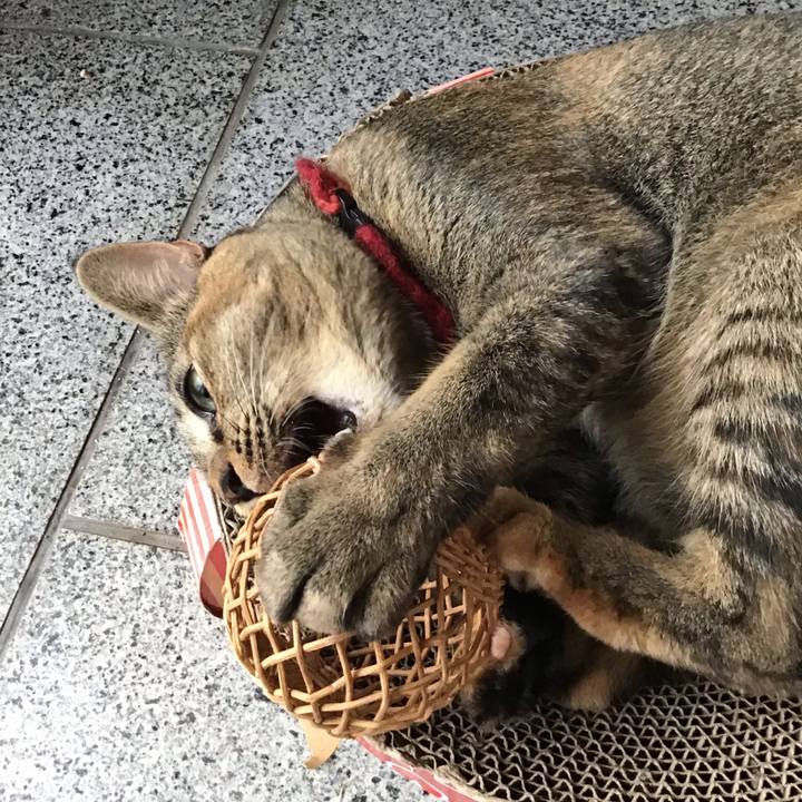 8e2d904e a3b0 4241 86ba f16ba4d4c060 1598570411681