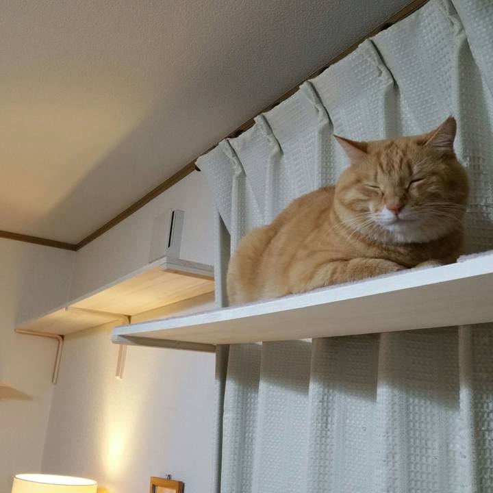 8e2d913d e5ce 47de 95a3 94057a6cc162 1518432176214