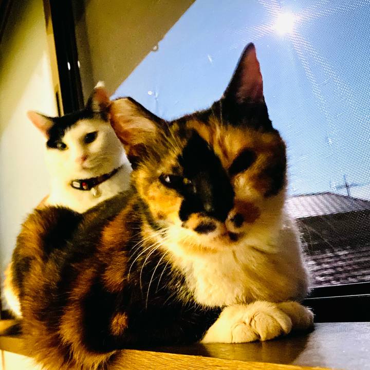 8e2daf20 aad0 4eaa b87a da194377db96 1662812330871