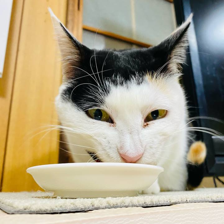 8e2db359 9f5d 413f b4ae 7dcbbf9bc0ca 1675604450473