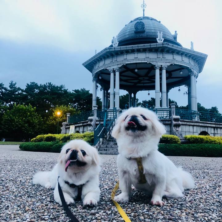 8e2dbd29 8ec8 45d7 b0e0 402393de5e10 1599345618504