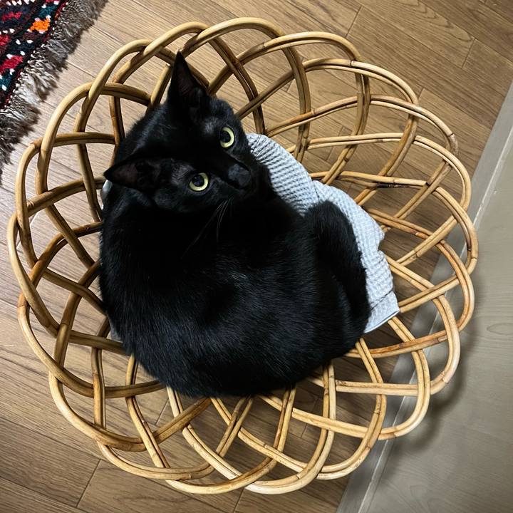 8e2dc632 3053 4777 ac11 06b9209f4ded 1724147270297