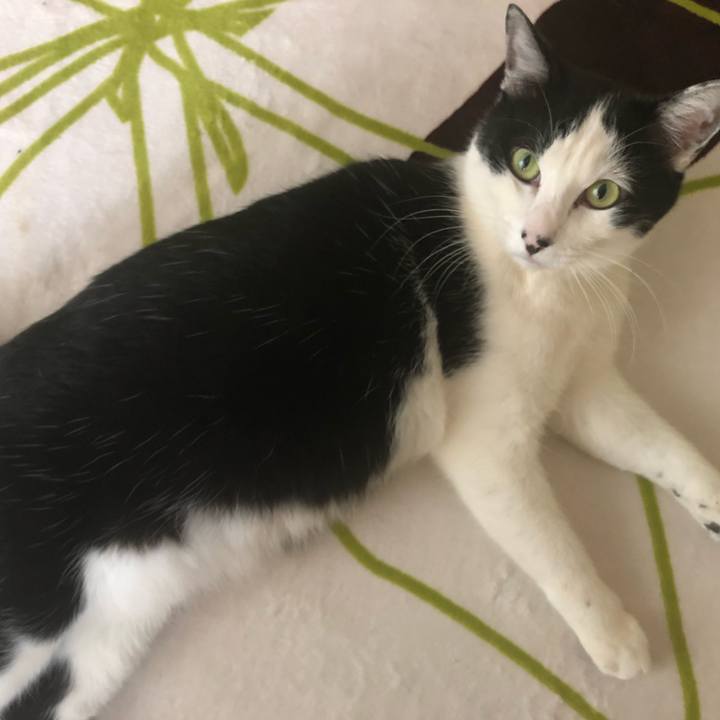 8e2dd50e e148 44be 8a3c 0656a820cce8 1549606050650