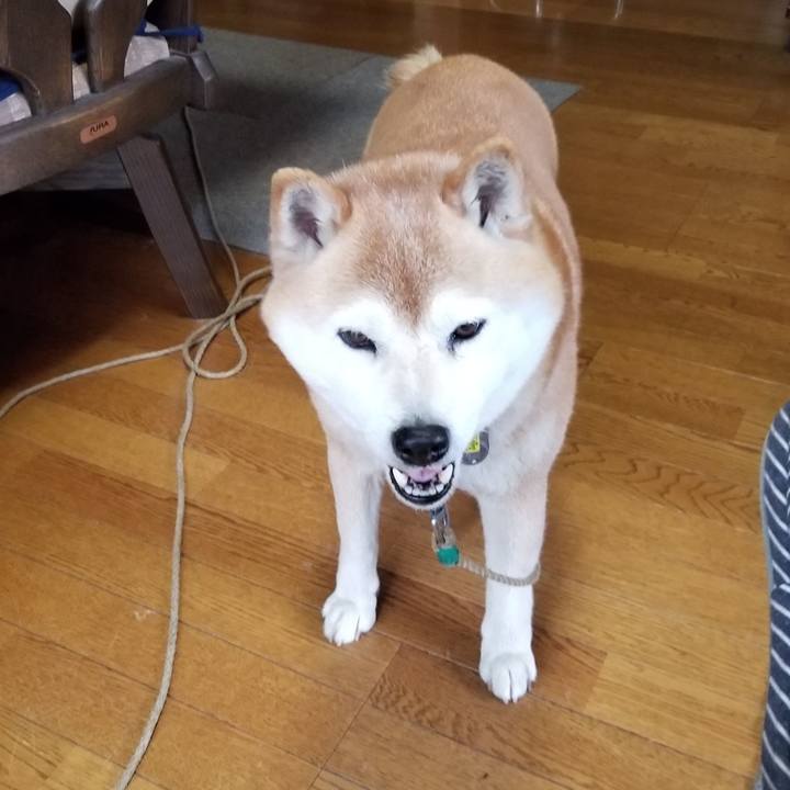 8e2de44b 85c8 4580 8f7a ff56512eb30e 1680923934367