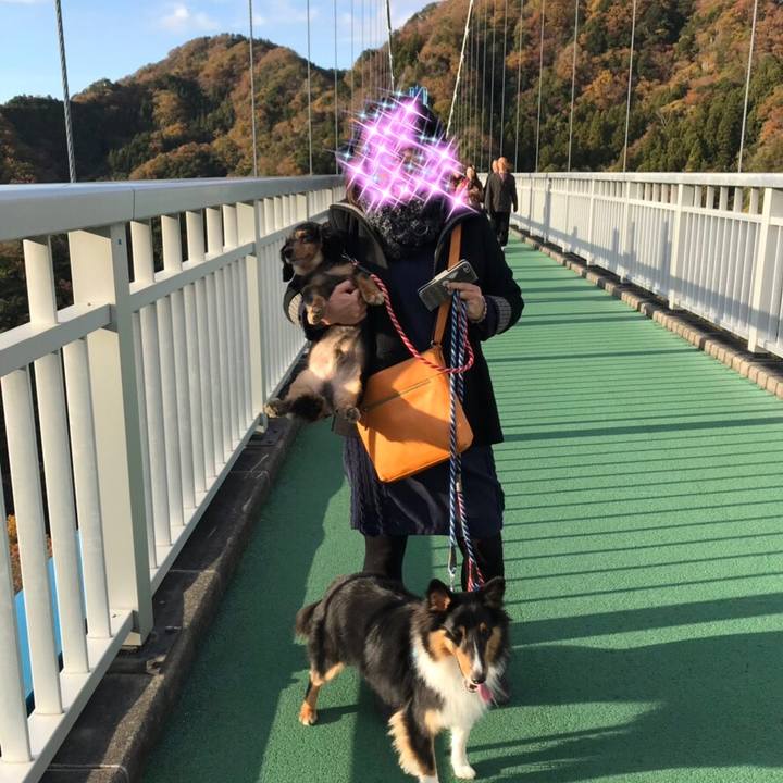 8e2e1c6d 2d8c 4ccd 8a52 638818fcb9c7 1543092424825