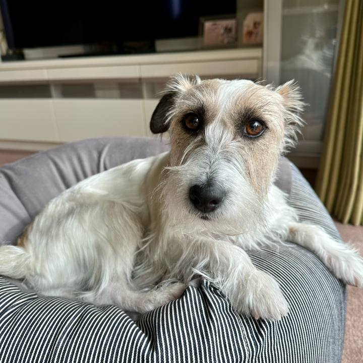 8e2e22d8 437b 41ef b26e 73cce3fe5489 1704965475608