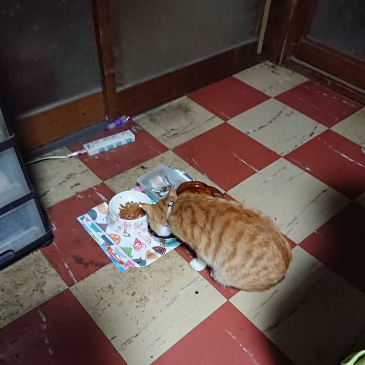 8e2e3c1a b70c 4cf7 b4d3 cb495c919920 1589145261361