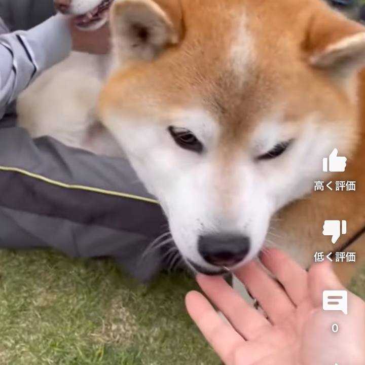 8e2e4981 cad3 49c1 8884 df9632644118 1682516106684