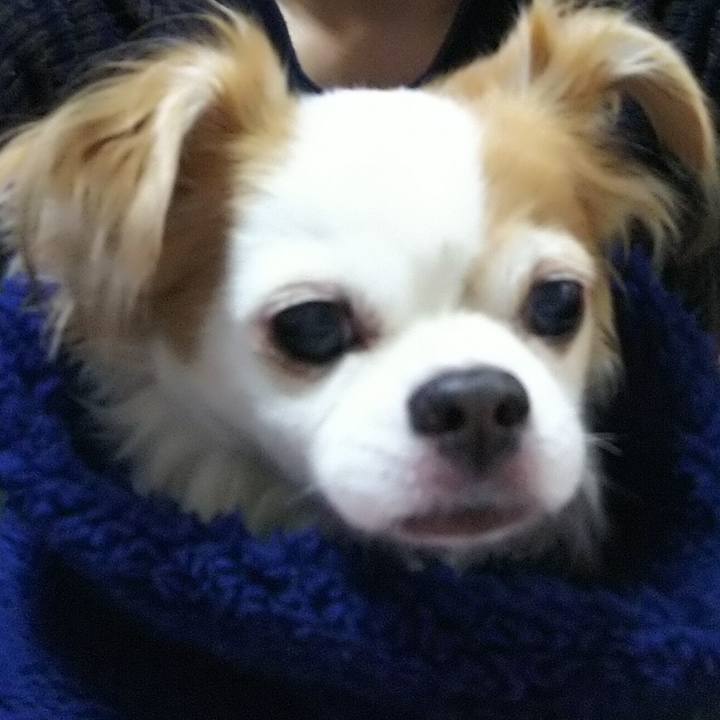 8e2e5e66 7eb9 4d9f 890b acabdf9e261b 1578397044593