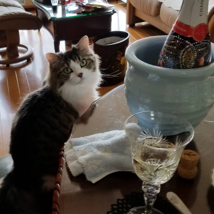 8e2e9d05 39ec 4aa8 8a28 9b3495b4f015 1535941123771