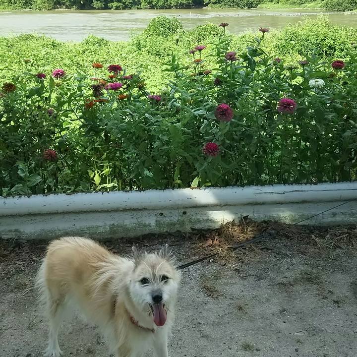 8e2ef2b8 f084 477c b1ae 6fcc1d9c7e23 1535243986127