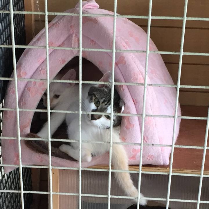 8e2ef98c 2087 47fd a7be a686c26e1fdb 1563236547174