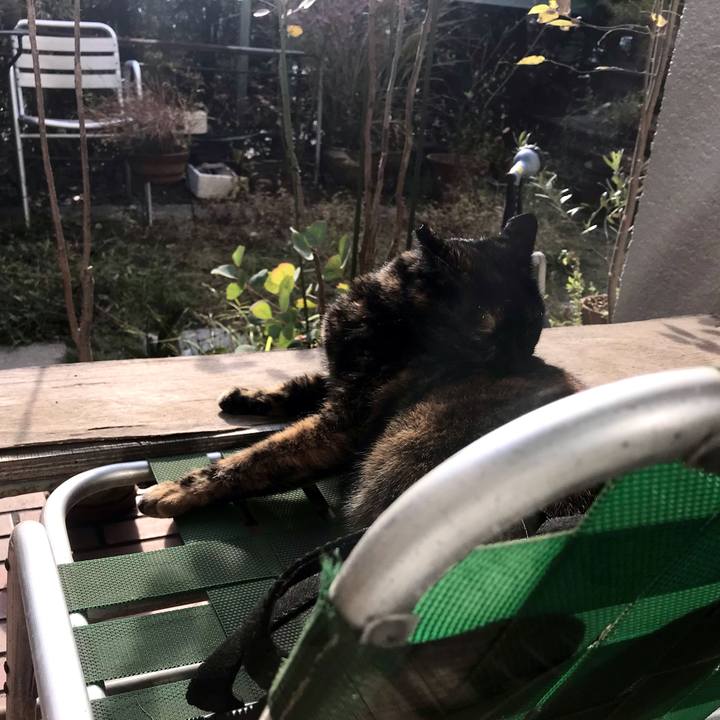 8e2fb7f8 517b 4d71 9784 1fa8fa017f8e 1608356231860