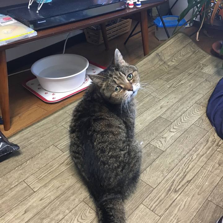 8e2fc17e 0d20 4e84 bc48 cb1f25161acb 1517412034280