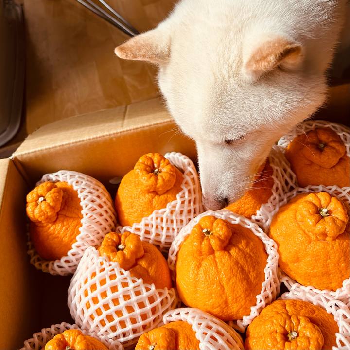 8e2ffa46 b313 4213 8070 1f1f3981d968 1741903364285