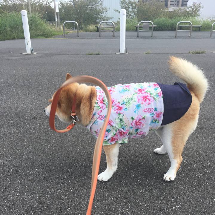 8e3023db e4c7 41c9 b6eb 421d96236f0e 1571457849448