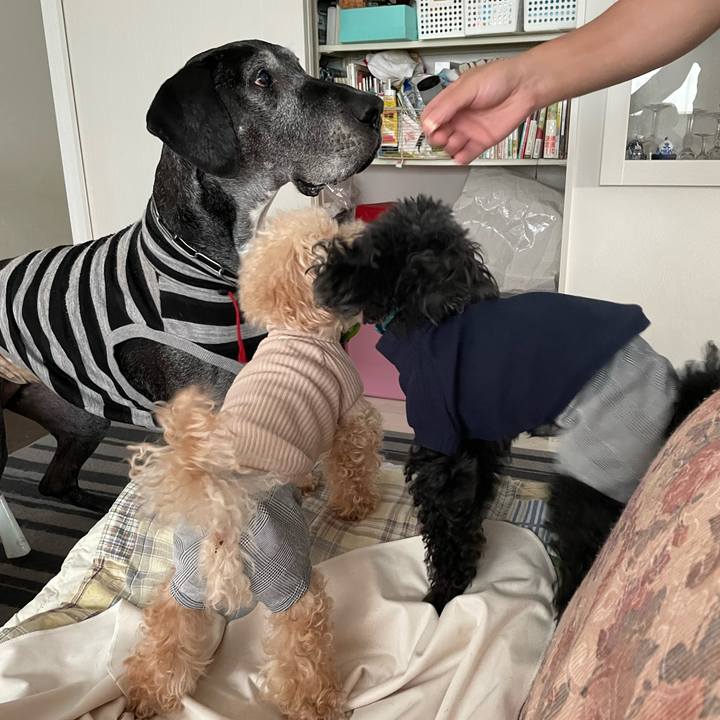 8e302b14 3060 4702 90e2 e7ea63169038 1650495494319