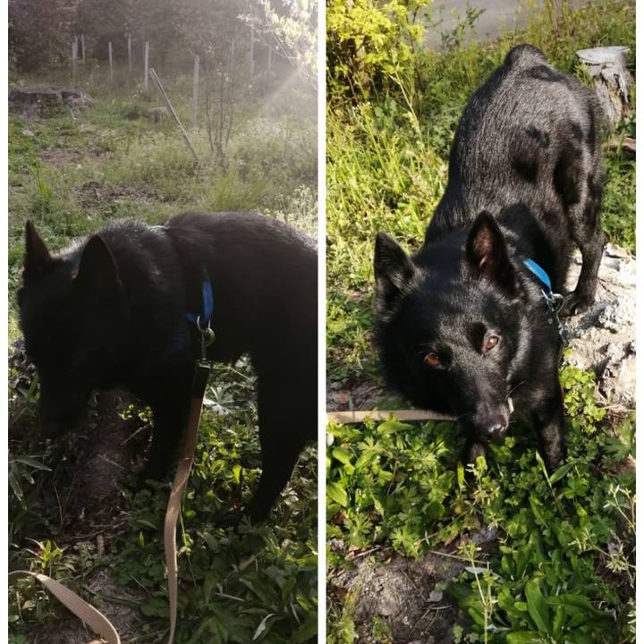 8e30b2e3 9891 4e42 8f21 1c4588765dc5 1618178941608