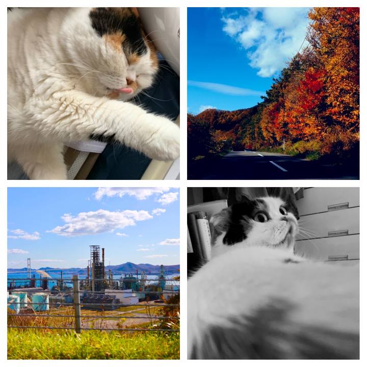 8e30cc5b 5bb9 48e6 a63b b66e9fad4439 1572830868926