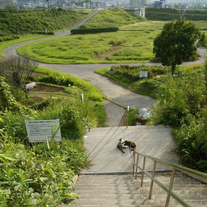 8e30f558 aeb5 4f9a a918 f071ed60d665 1537316561532