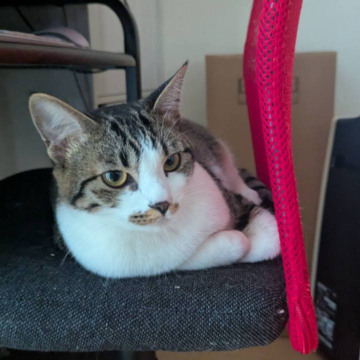 8e31a236 abdd 47da 8e05 f8fd330c5cf0 1738986734522