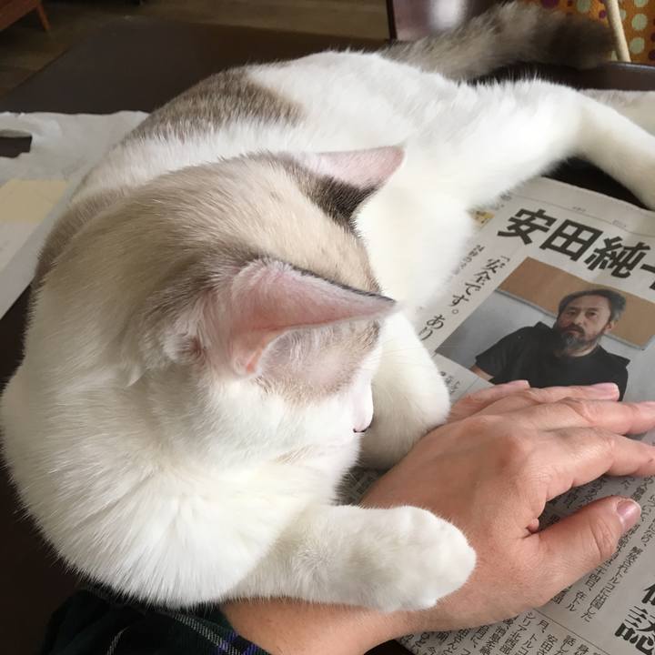 8e31ac72 18b2 4e45 b948 30956364e52b 1540434320291