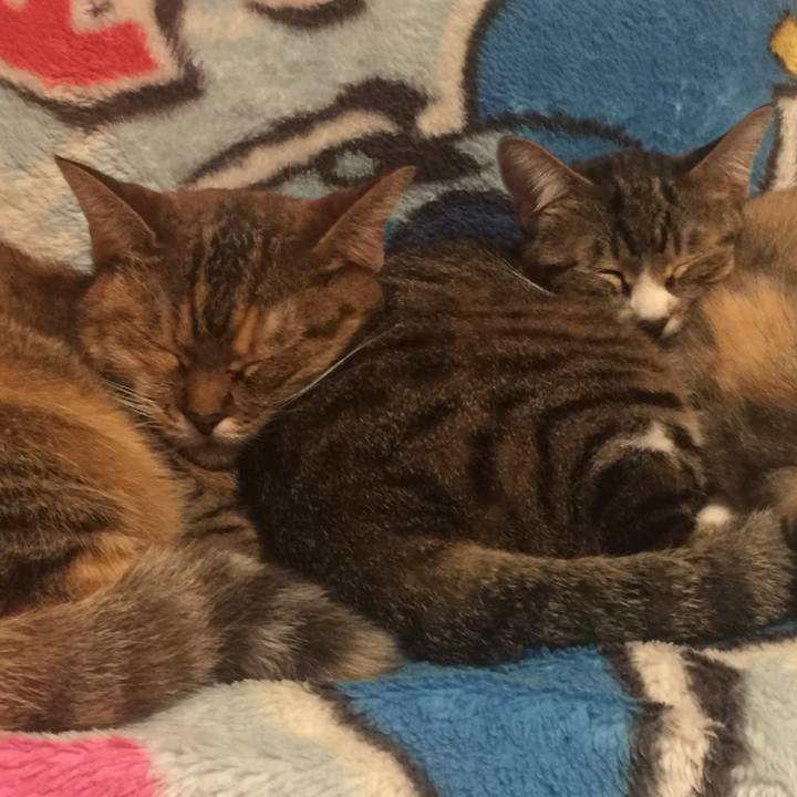 8e31bc64 d292 4e23 be26 458272a5b95b 1571916127066