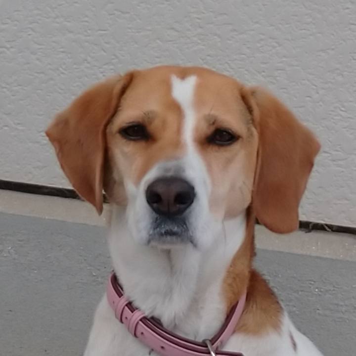 8e31c3c0 70ff 4cda b00d 9498de924ec6 1587631896717