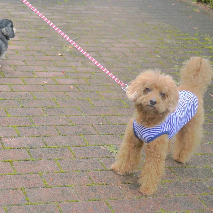 8e31ed0c c67f 4888 bacb 0e7b220ec878 1539186618311