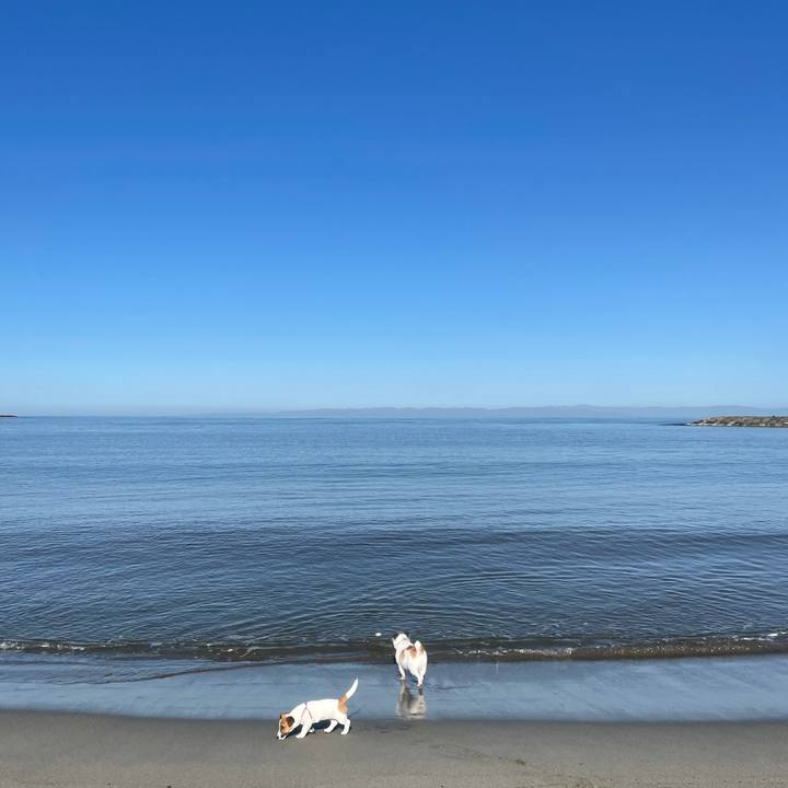 8e32064d 7508 45b6 b52d 9265d666456d 1619481005174