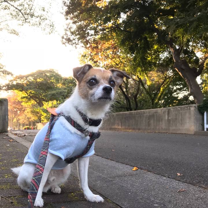 8e323c93 831a 4b77 9cbf 3528f1723973 1540626404166